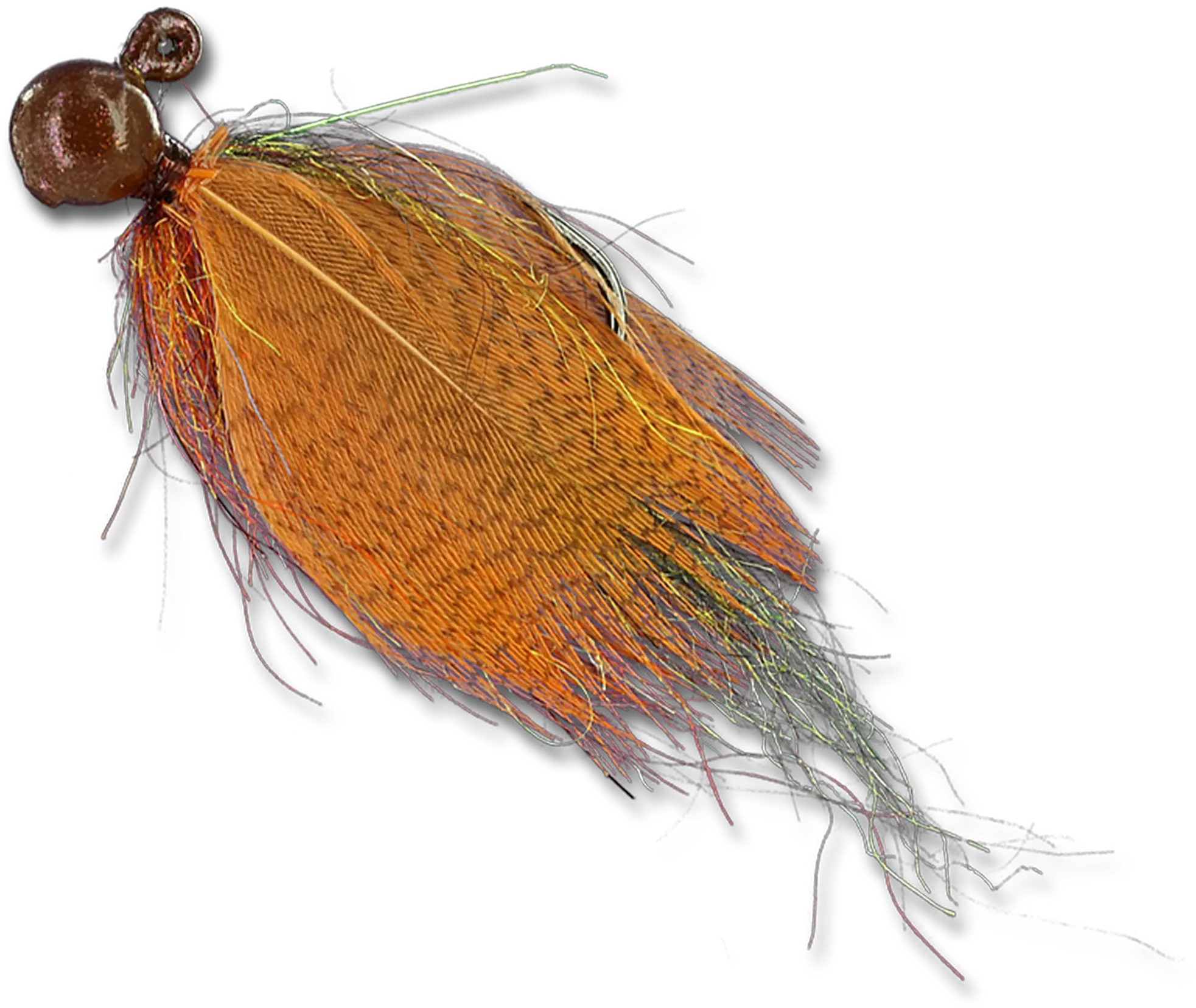  Float Nflies Parasitism Png Flies Png