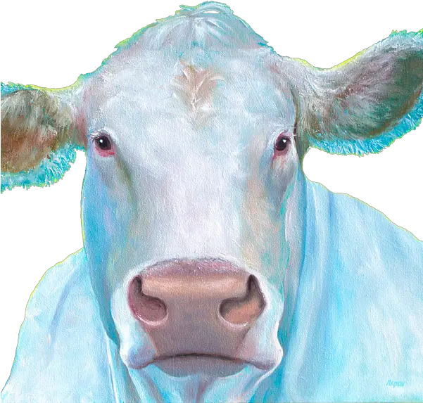  Charolais Cow Painting Shirt Cow Painting Charolais Cattle Png Cow Transparent Background