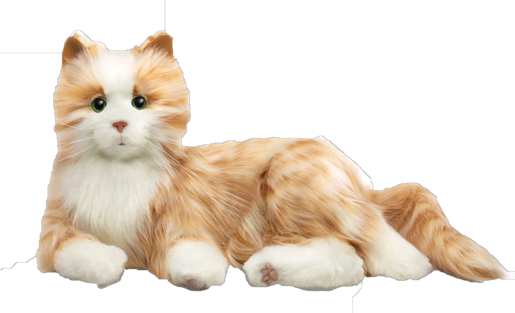  Cats Png Transparent Background