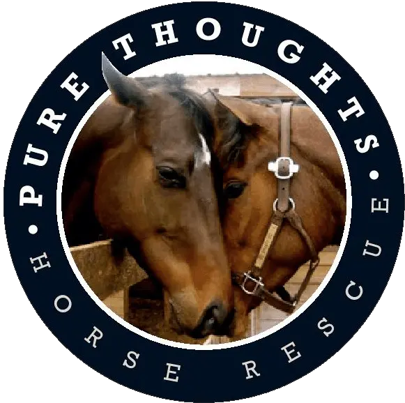  Horse Rescue Volunteer Loxahatchee Fl Pure Thoughts Social Sciences University Of Ankara Png Horse Logos