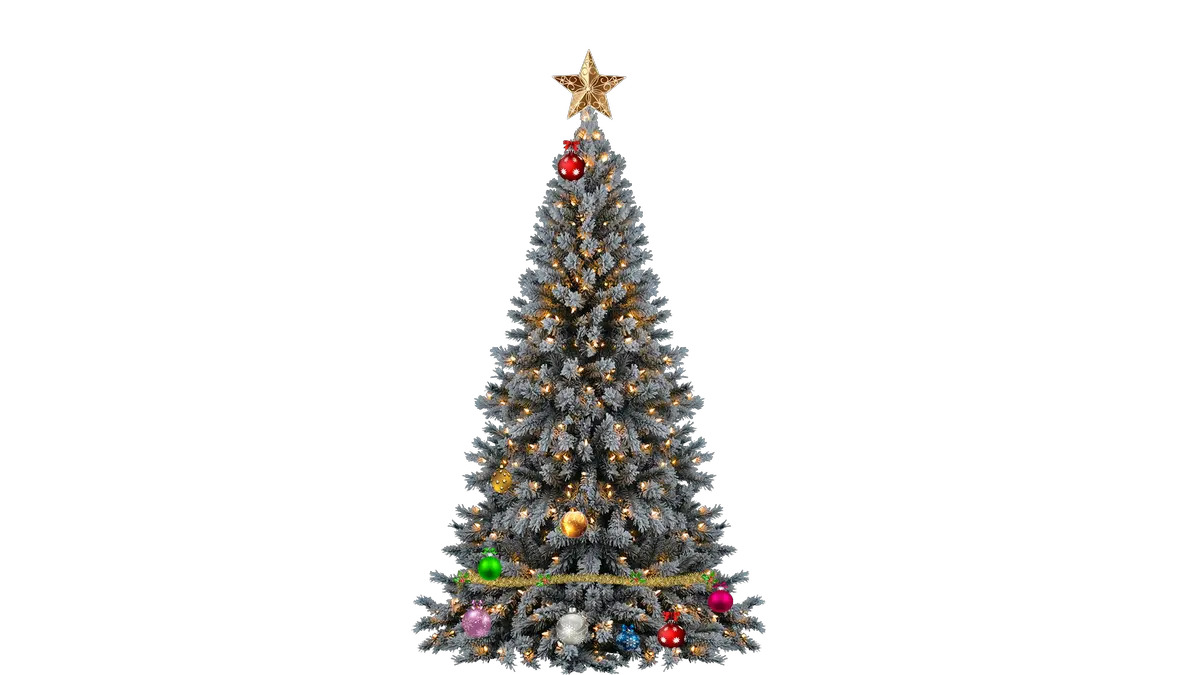  Download Christmas Tree Png Transparent Justin Bieber Christmas Tree Transparent Snow