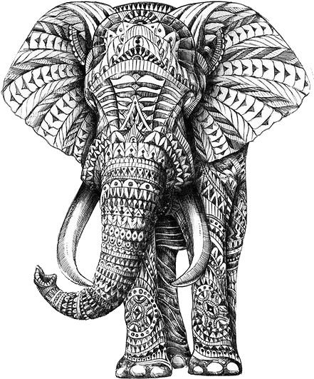  Found Parencytumblrcom Via Tumblr Elephant With Designs Png Transparent Pngs