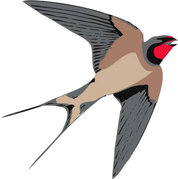  Sparrow Png Free Download Mart Swallow Clipart Sparrow Png