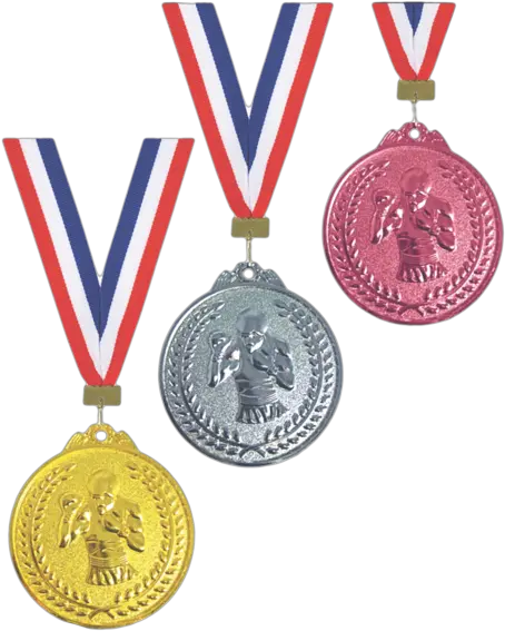  Basketball Gold Medal Png Transparent Medal Gold Medal Png