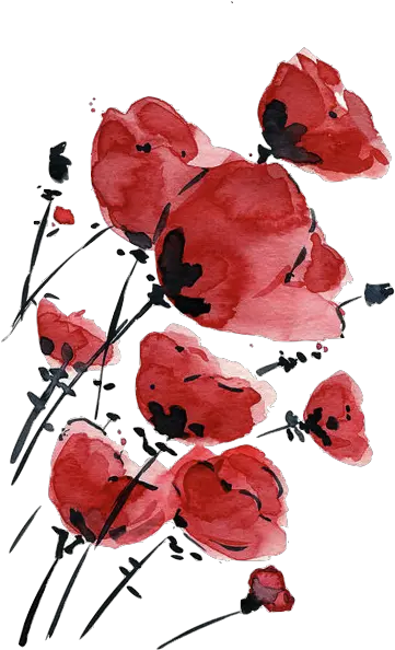  Flower Drawing Png Tumblr Flowers Inspiration Red Watercolor Flowers Transparent Flower Drawing Tumblr