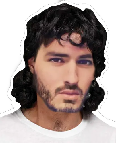  Tempo Snakenade Black Mullet Wig Png Cmonbruh Png