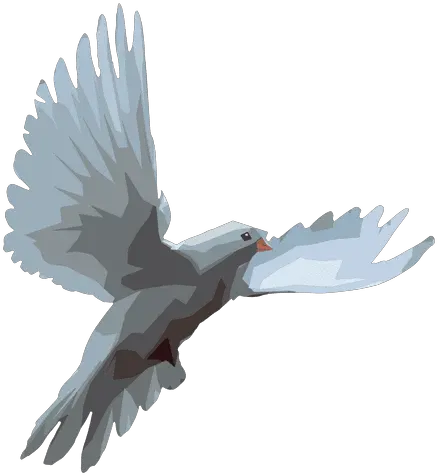  Ilustración De La Paloma Transparent Dove Vector Png Paloma Png