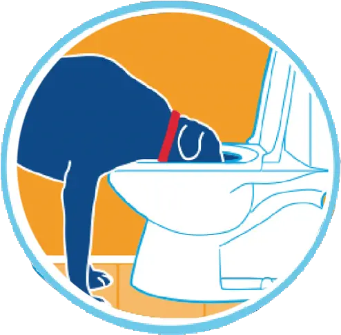  Drinkwell Pet Fountains For Dogs U0026 Cats By Petsafe Brand Dog Drinking From Toilet Clip Art Png Platinum Cats Vs Dogs Icon