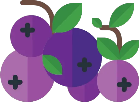  Food Fruit Vegetable Vegetarian Organic Berry Fresh Png Berry Icon