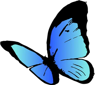  10 Free Butterfly Icon U0026 Vectors Pixabay Gift Kupu Kupu Warna Biru Png Butterfly Emoji Png