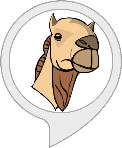  Amazoncom Camel Facts Alexa Skills Head Of Camel Png Camel Logo