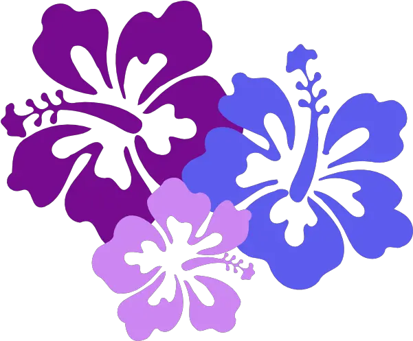  Hawaiian Flower Logo Hawaiian Flowers Clipart Transparent Png Hawaii Flower Icon