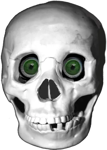  Cool Skeleton Png Transparent Skull Eyes Skeleton Png Transparent