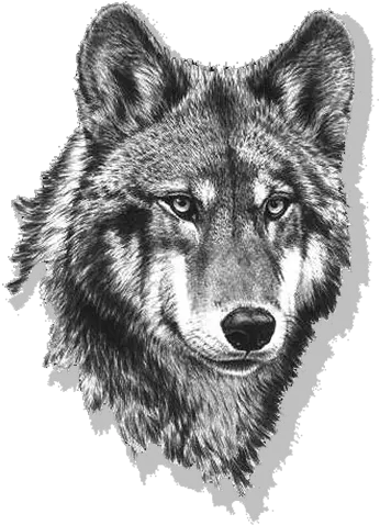  Black And White Wolf Png Transparent Wolf Black And White Wolf Head Png