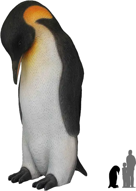  Download Penguinspngtransparentimagestransparent Emperor Penguin Penguin Transparent Background Png Penguin Transparent