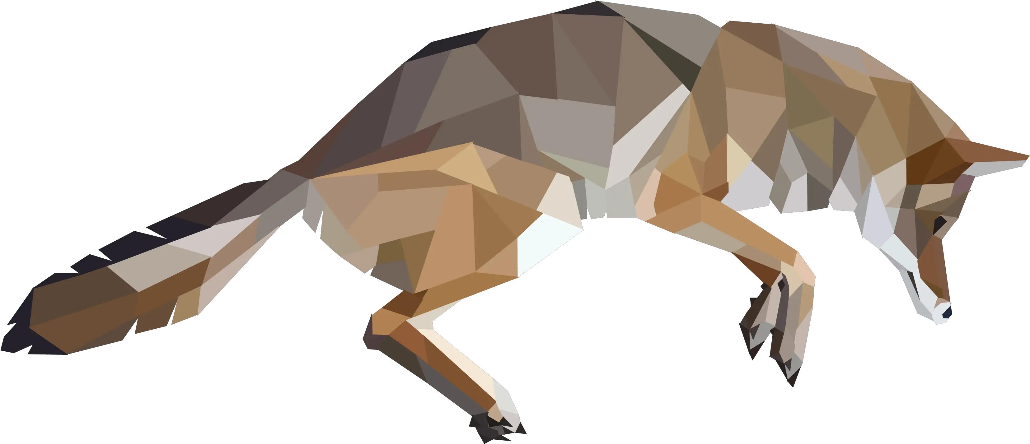  Coastal Coyote Black Rhinoceros Png Coyote Png