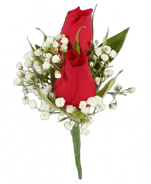  Double Red Rose Red Sweetheart Rose Boutonniere Png Red Rose Png