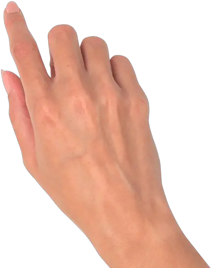  Fingers Drawing Skin Transparent Png Woman Hand Png Hand Transparent Png