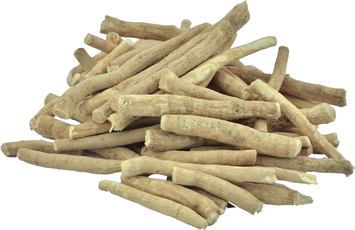  Buy Ashwagandha Roots Online In Bulk Cultivator Natural Ashwagandha Root Png Roots Png