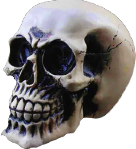  Download Skeleton Head Png Transparent Images Dsstyles Led Skull Skeleton Png Transparent