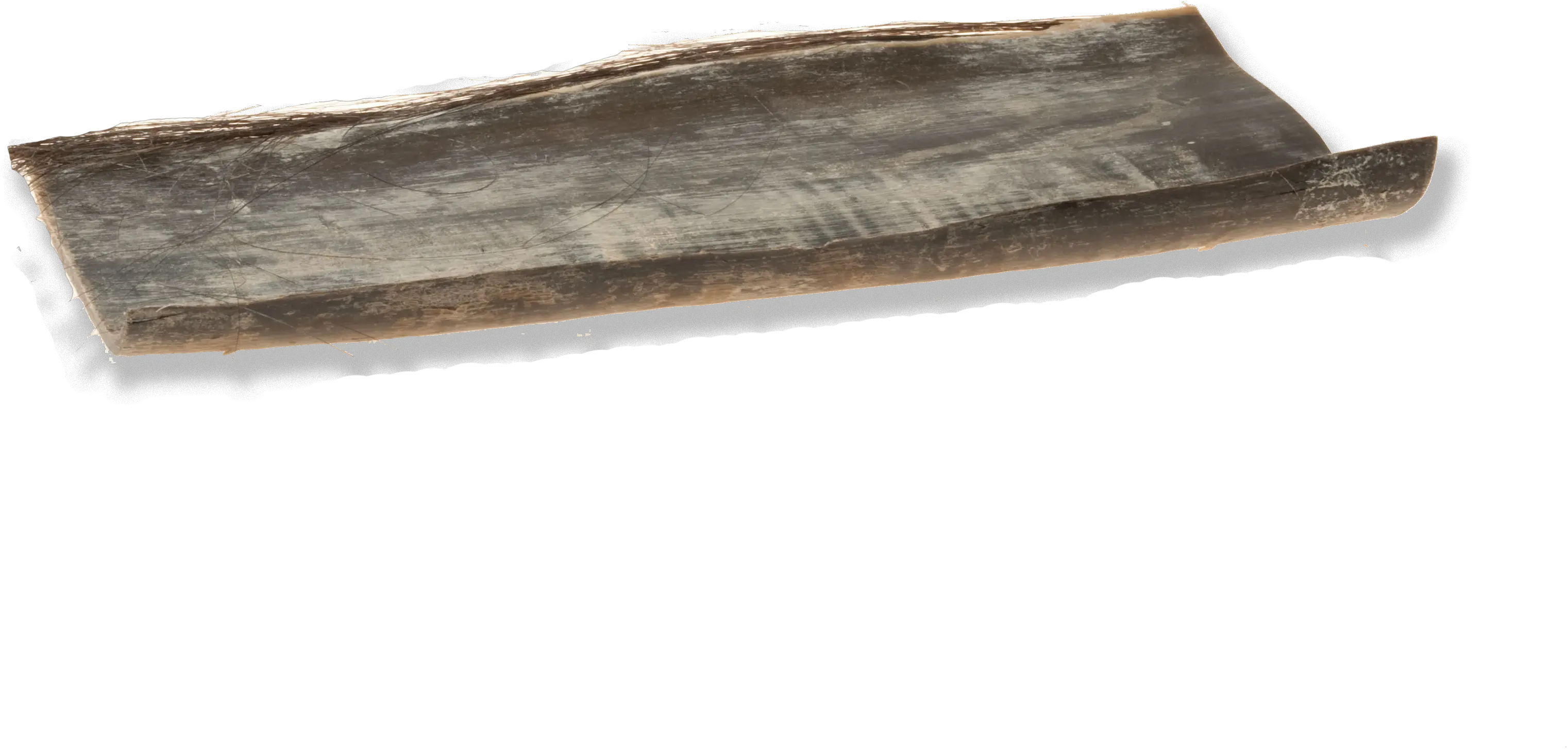  Filenu Baleenpng Wikimedia Commons Wood Fur Png