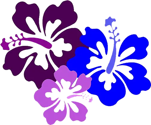  Index Of Wp Contentuploads201912 Hibiscus Clip Art Png Stitch Png