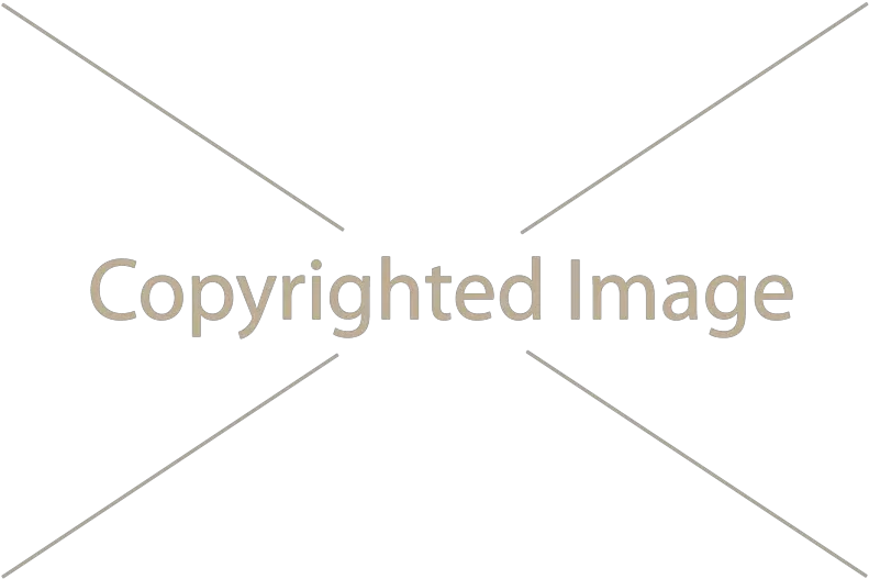  Download Free Png Watermark Myriad Font Watermark Png