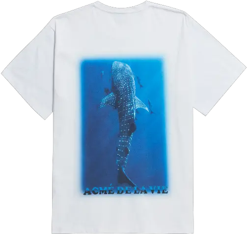  Adlv Digital Printing Short Sleeve T Shirt Whale Shark Png Whale Shark Png