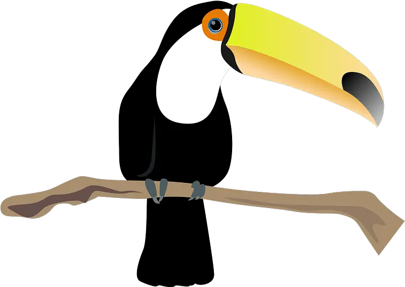  Toco Toucan Bird Clipart Free Download Transparent Png