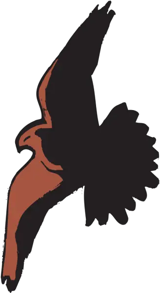  Hawk Flying With Shadow Png Svg Clip Art For Web Download Transparent Hawk Shadow Hawk Png