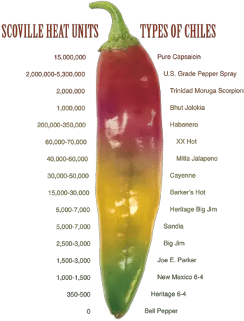  Download Scoville Scale Green Chilli Scoville Scale Hatch Chile Png Scale Png