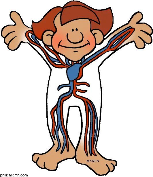  Free Cartoon Body Png Download Clip Art Cartoon Circulatory System Clipart Cartoon Body Png