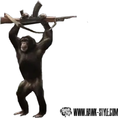  Free Ape With Ak47 Psd Vector Graphic Vectorhqcom Macaque Png Ak 47 Png