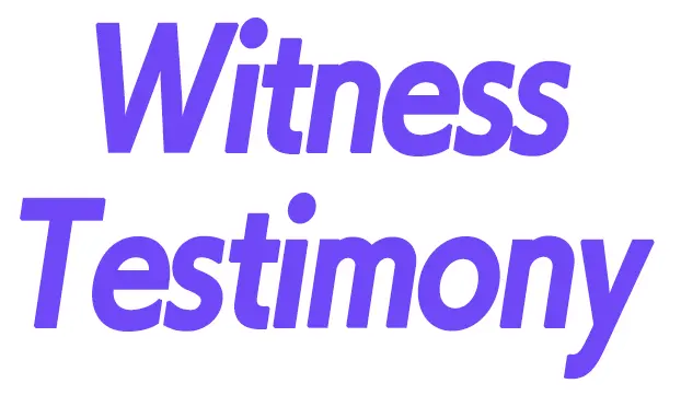  The First Turnabout Case File Summary U0026 Detailed Analysis Witness Testimony Phoenix Wright Png Phoenix Wright Logo