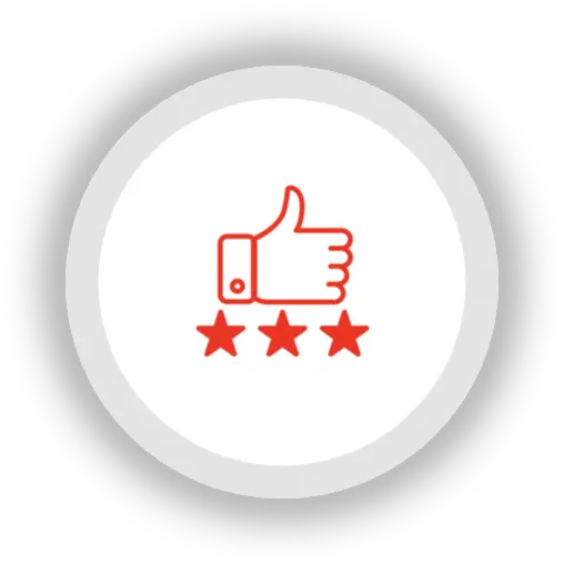  It Services U003e Plexus Security Language Png Performance Icon Png