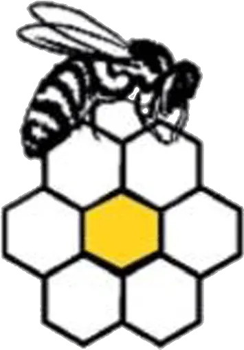  Home Page Bax Bees Bax Bees Png Bumblebee Icon