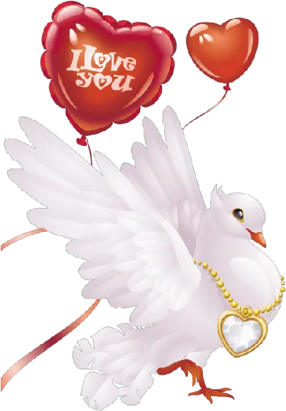  White Doves Wedding Pictures Wedding Transparent Pigeon Png White Doves Png