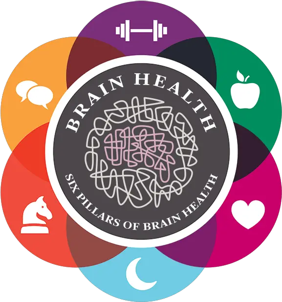  Healthy Brains Brain Health Png Medical Brain Icon