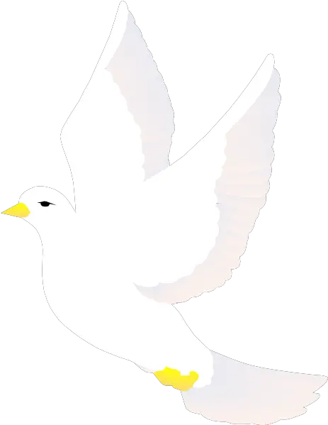  Flying Dove Svg Clip Arts 462 X 598 Px Clipart White Bird Png Flying Dove Png