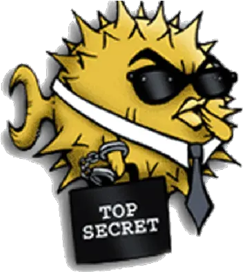  How To Install Openssh Openssh Logo Png Windows 7 Icon