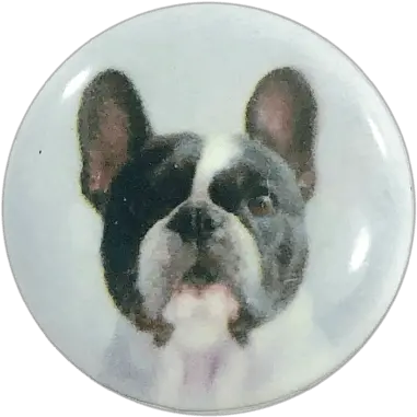  Snap Charm Dog Boston Terrier Painted French Bulldog Png Boston Terrier Png