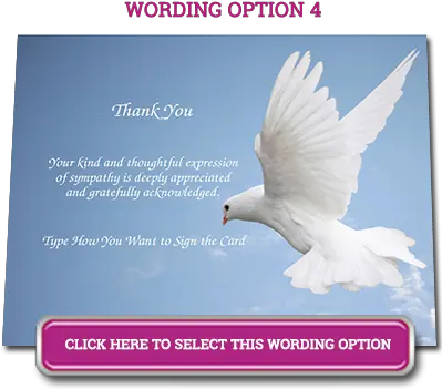  Browse Designs White Dove Flat Fill Me Up Holy Spirit Png White Dove Png