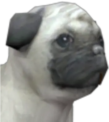  Pug Nintendogs Pug Png Pug Png