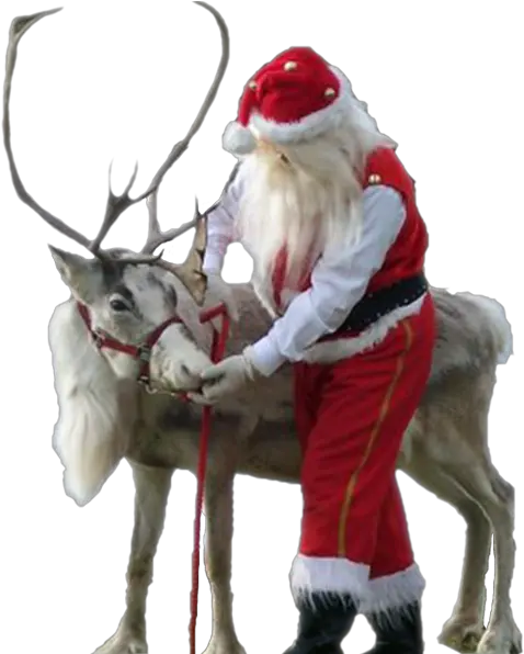  Download Hd The Best Christmas Santa Claus Png Santa And Reindeer Png