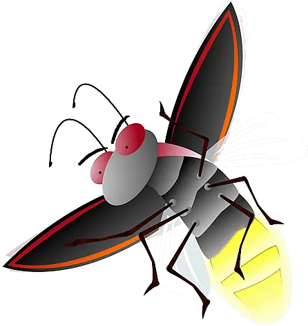  Png Transparent Firefly Firefly Transparent Background Firefly Png