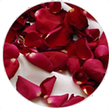  Rose Petals Bougainvillea Png Rose Petals Png