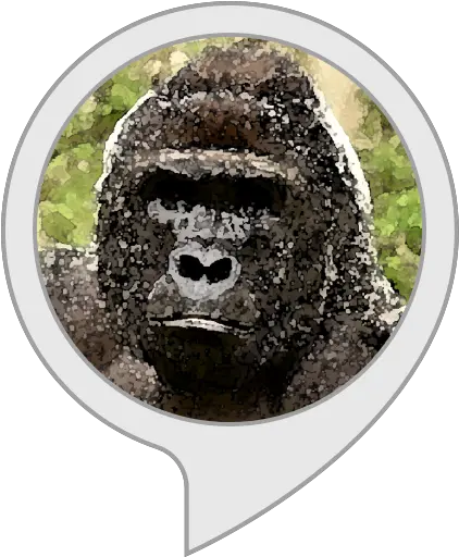  Alexa Skills Pittsburgh Steelers Png Harambe Transparent