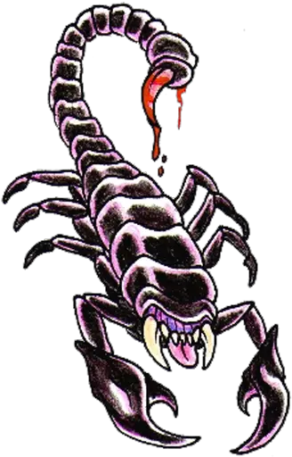  Scorpion Tattoos Png Clipart Scorpions Tattoo Png Scorpion Png