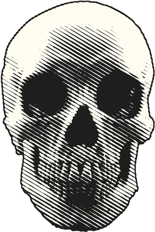  Transparent Png Svg Vector File Skull Illustration Png Calavera Png