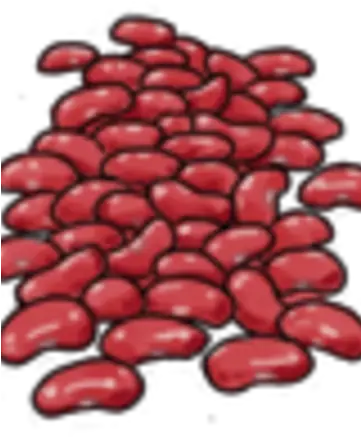  Kidney Beans Tattered Weave Wikia Fandom Kidney Beans Png Beans Png